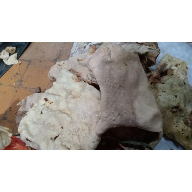 

cecek kering krecek kulit sapi untuk lontong lodeh cecek