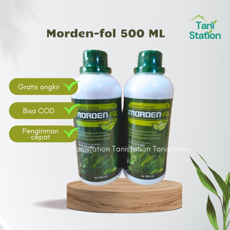 MORDEN FOLL 500 ML