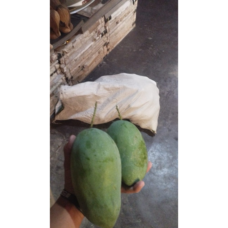 

Mangga Arumanis / Mangga Manalagi