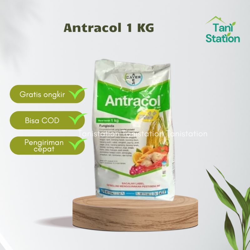 Fungisida Antracol 1kg