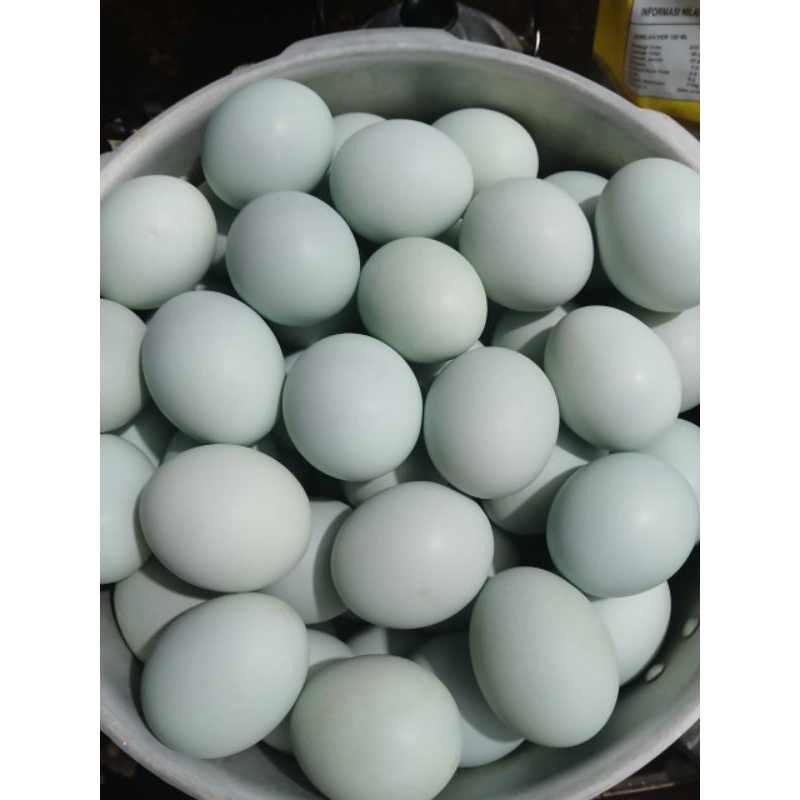 

Telur Asin | Telur Asin 10biji Murah | Telur Asin Berkualitas