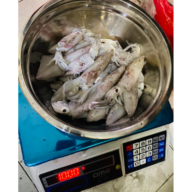 

Cumi Segar/tanpa pengawet 1kg