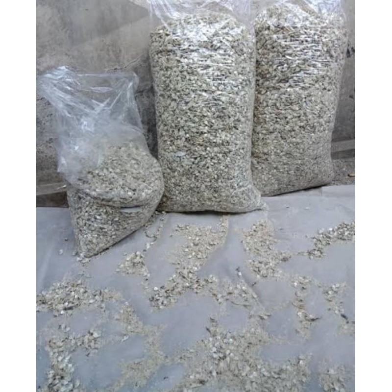 

abu ikan asin untuk pakan ternak