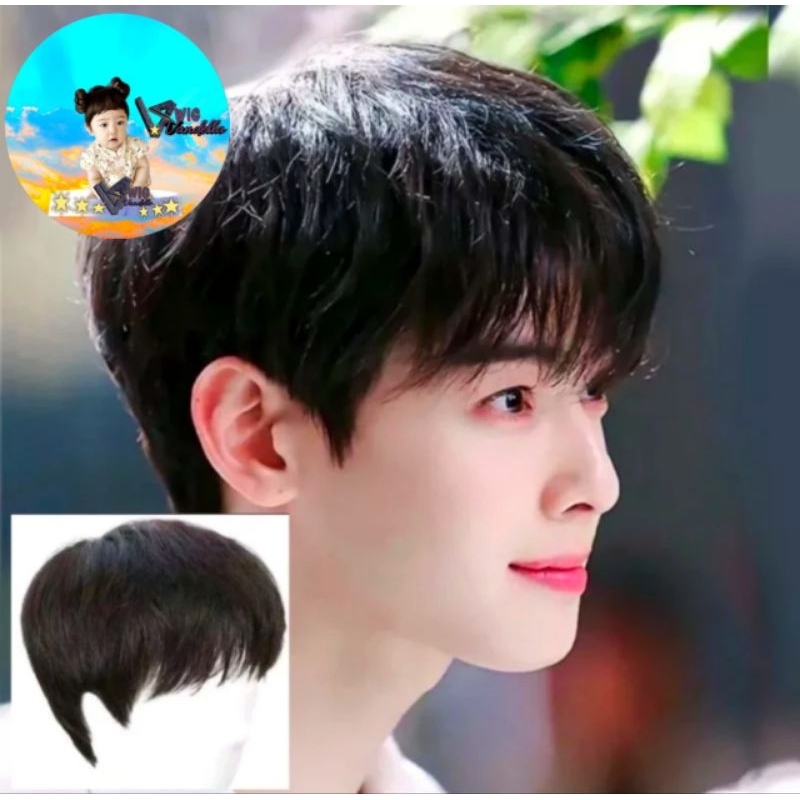 WIG PRIA KOREA/WIG MODEL COWOK KOREAN