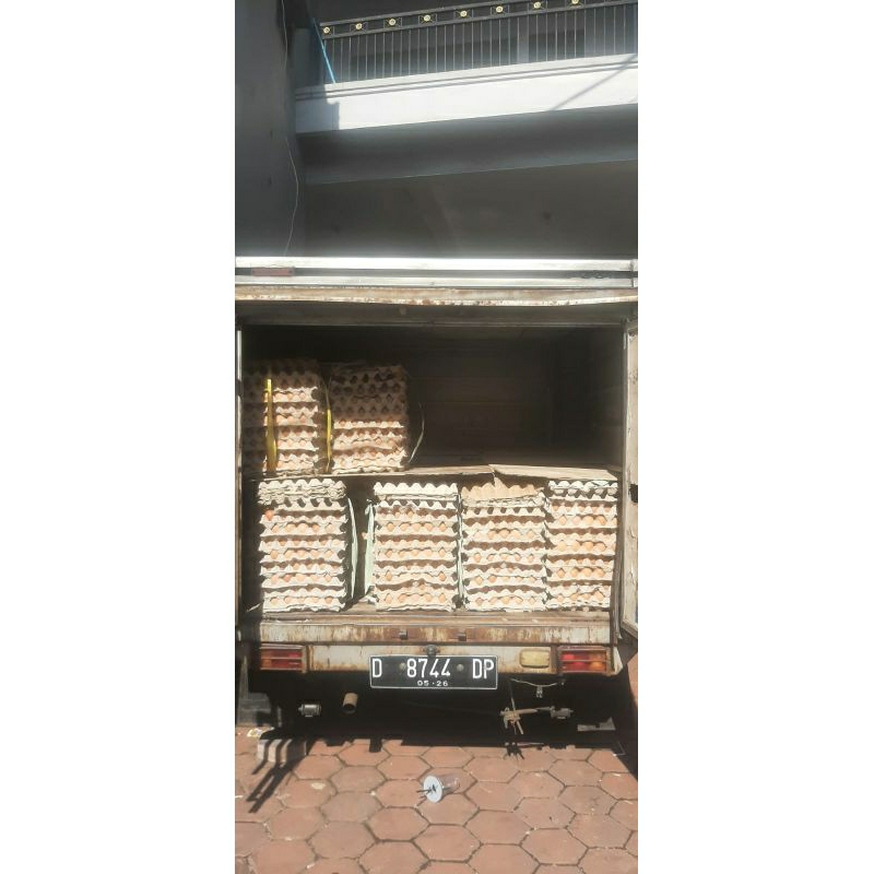 

HA TELUR AYAM NEGERI FRESH 1 tray/papan isi 30 butir (1-1600gram)