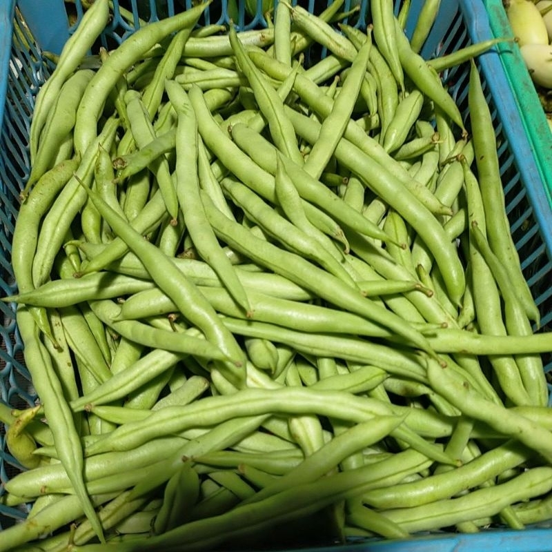 

kacang buncis 250grm 8000