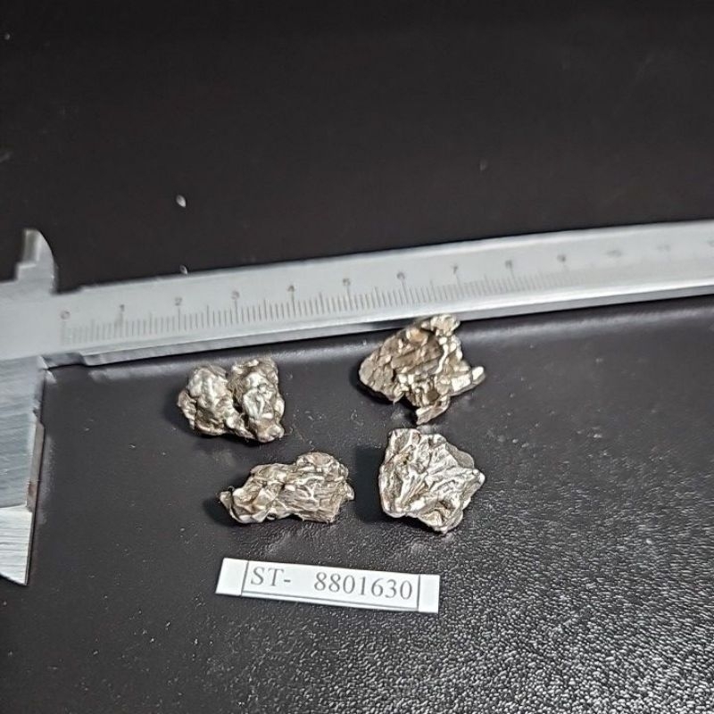 Campo del Cielo Iron Meteorite Asli Gran Chaco Gualamba, Argentina.