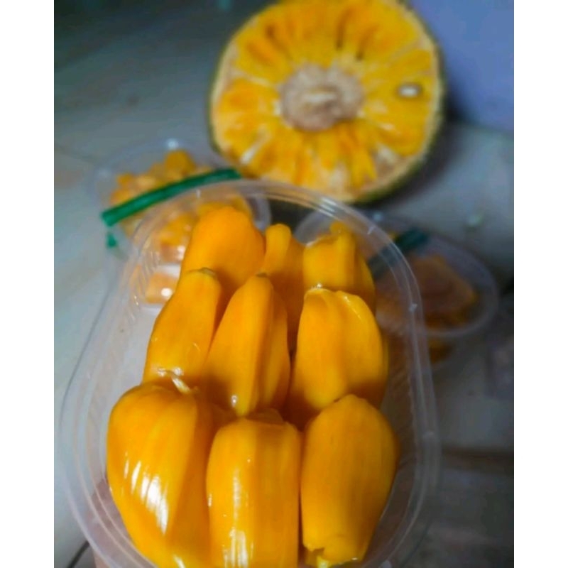 

nangka kupas fresh termurah 500gram