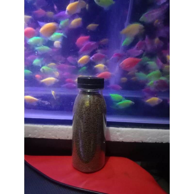 Pakan ikan Glofish Pelet ikan hias