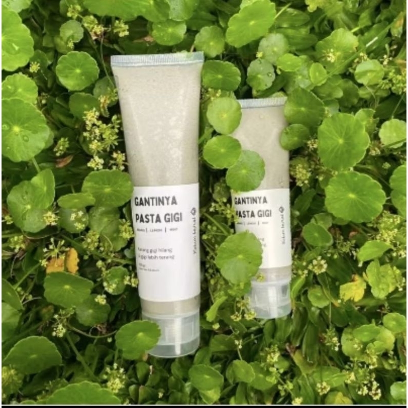 Pasta Gigi Organik dari kebun Kuuk Non Flouride dan Non SLS ukuran 50 gr dan 100 gr