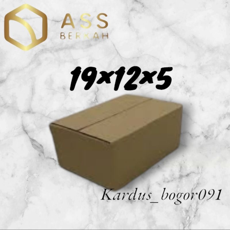 

kardus box packing 19×12×5