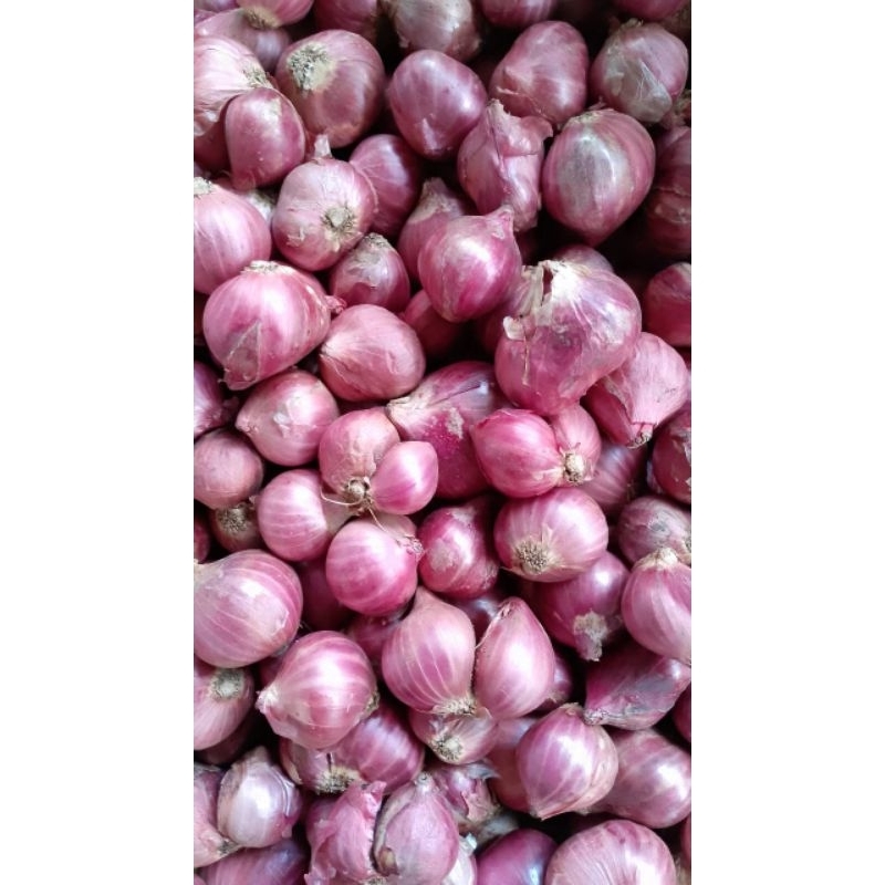 

Bawang Merah Fresh