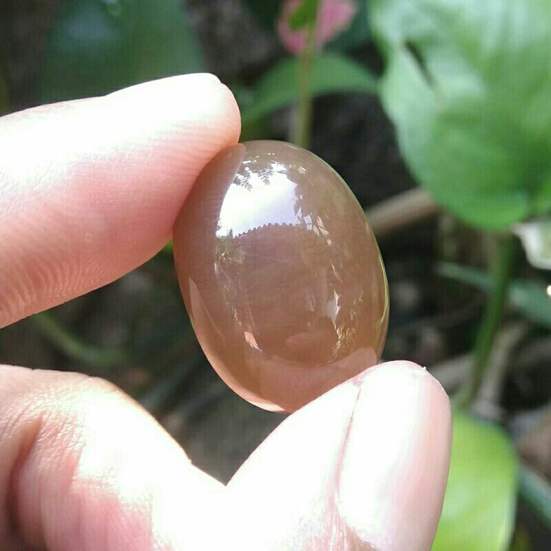 Batu cincin natural fossilized silicified coral fosil coral akik teratai motif lipan kelabang