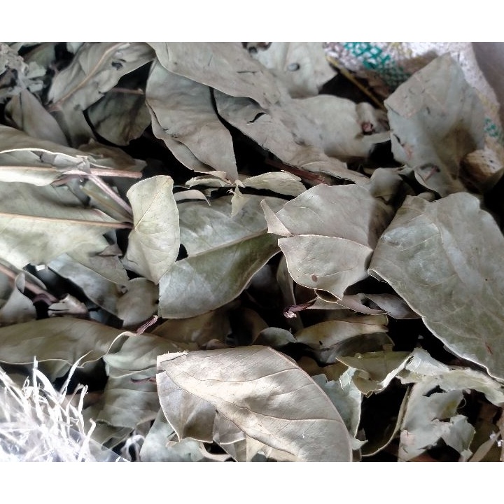 

daun salam kering gram