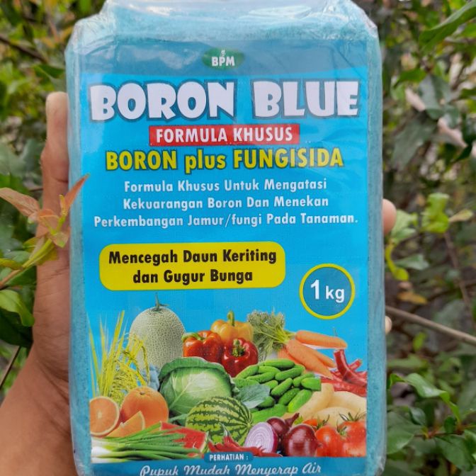 Terbaru BORON BLUE 1 KG  FORMULA KHUSUS BORON plus FUNGISIDA untuk mencegah daun keriting dan gugur 