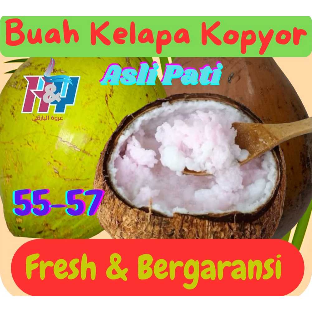 

Buah Kelapa Kopyor [size: 55-57] Asli Pati.