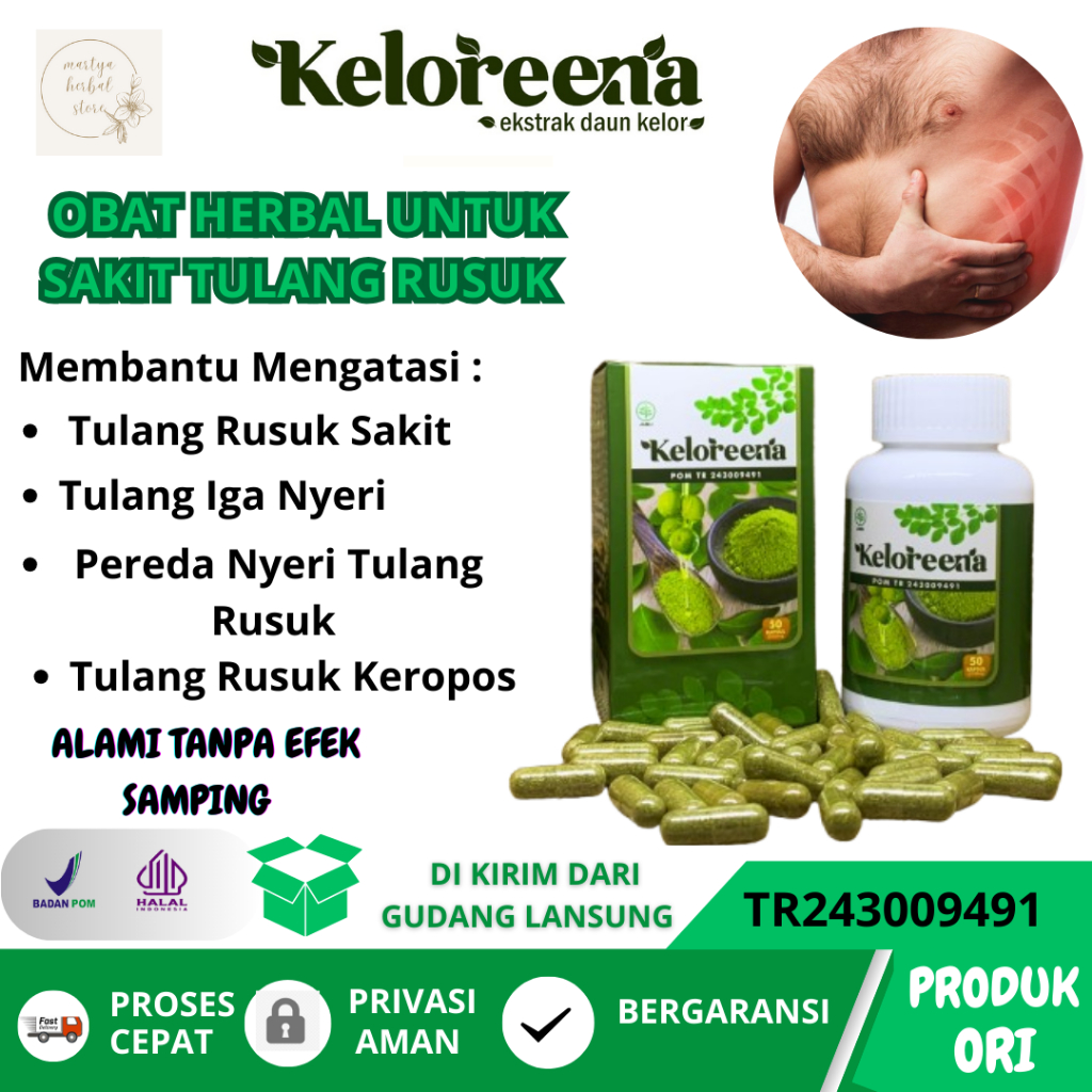 Obat Pereda Sakit Tulang Rusuk Obat Tulang Rusuk Menonjol Obat Tulang Rusuk Memar Obat Patah Tulang 