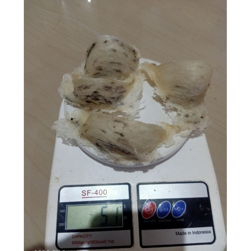 

Sarang burung walet murah/burung walet ori/