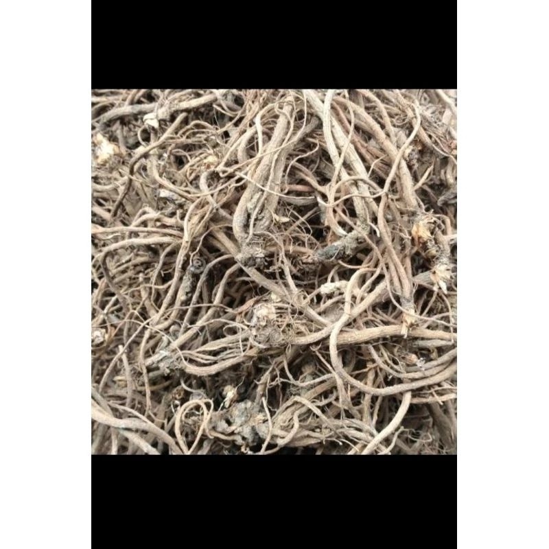 

akar purwoceng kering 25gr