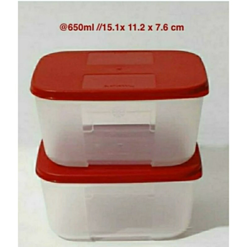 Freezermate 650ml tupperware