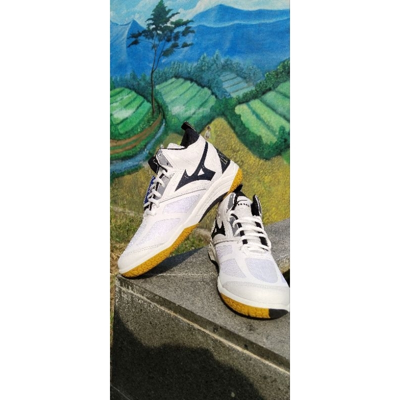 sepatu voli mizuno wave momentum 2