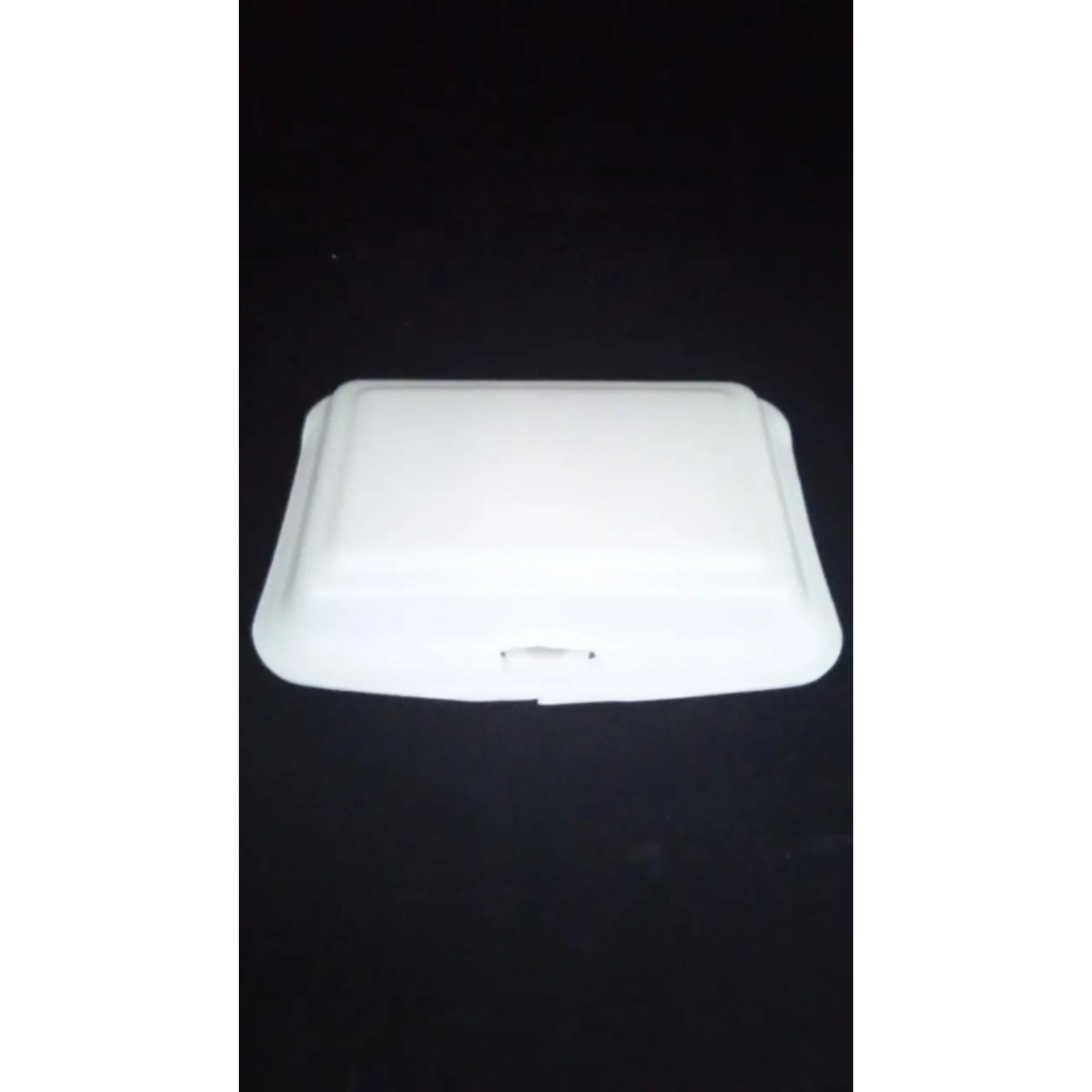 Gabus Nasi / Tf 2 Lux Styrofoam Nasi @100 Pcs