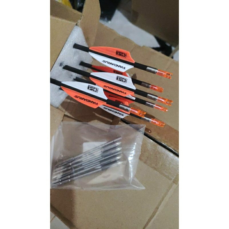 Arrow Pandarus Ice Point Silver Carbon (12 pcs)