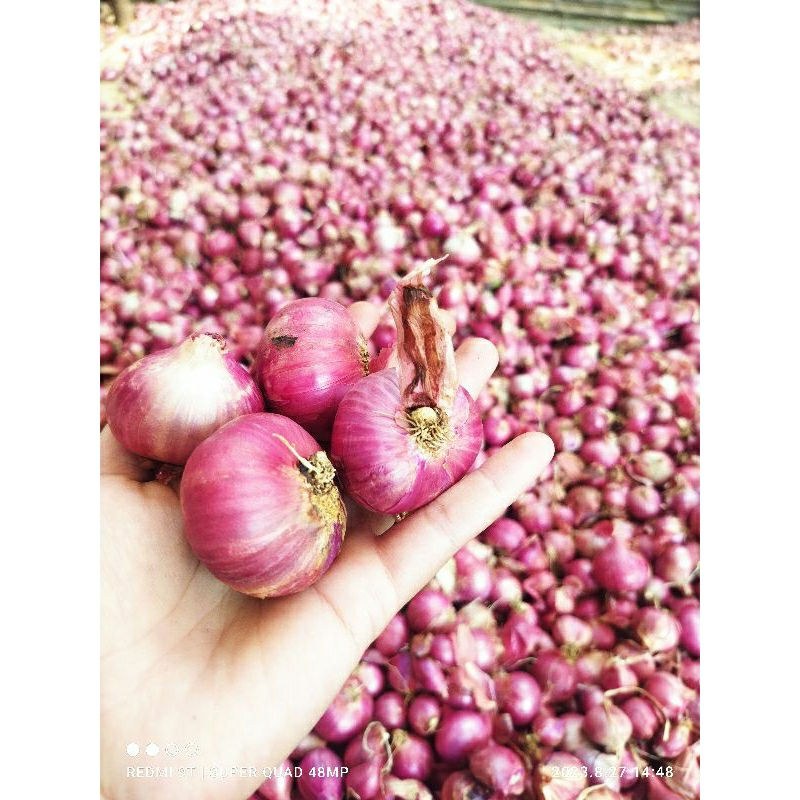 

bawang merah lokal bali karet super ( 1000 gram) petani langsung khas jawa barat