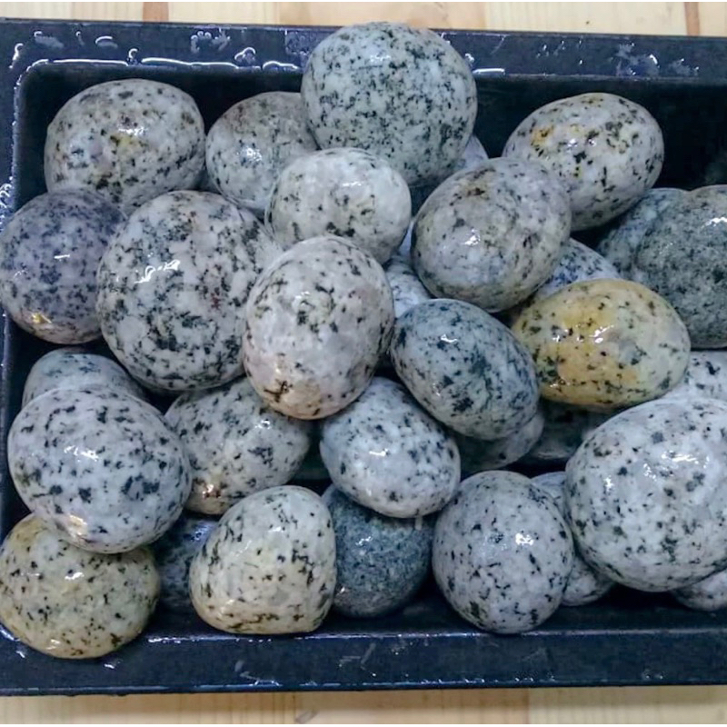 Batu Hias Koral Telur Puyuh