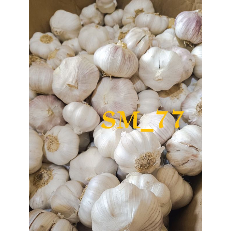 BAWANG PUTIH 1KG| BAWANG PUTIH HONAN | BAWANG PUTIH BIASA  | BAWANG PUTIH SICO