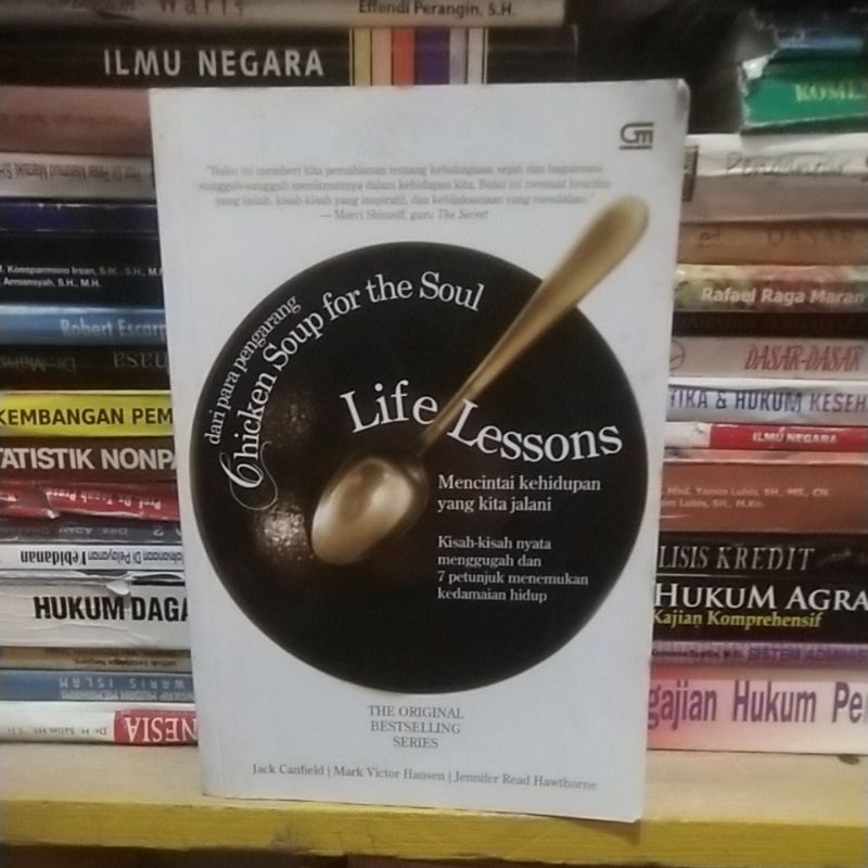 novel chicken soup for the soul