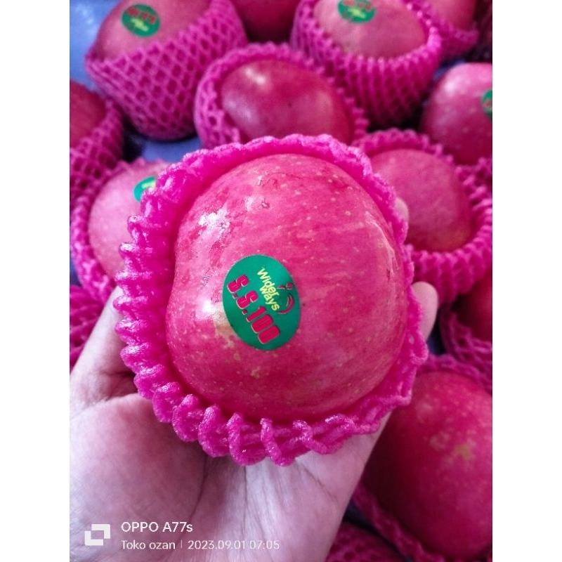 

APEL FUJI SUPER PREMIUM KRES MANIS