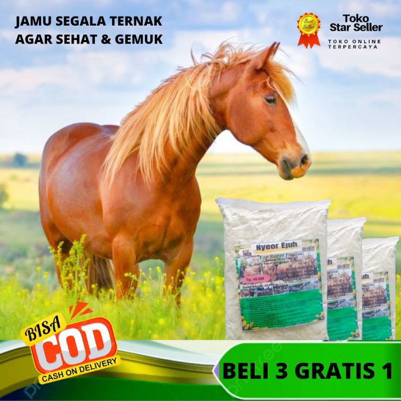 

JAMU KUDA AGAR NAFSU MAKAN NYEOR EJUH EXTRA GULA SUPAYA SEHAT DAN GEMUK