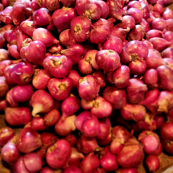 

Bawang Merah Probolinggo 1kg