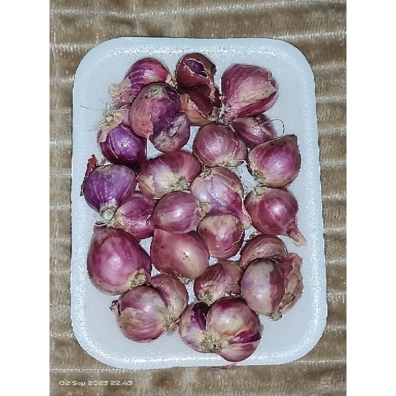 

BAWANG MERAH MURAH