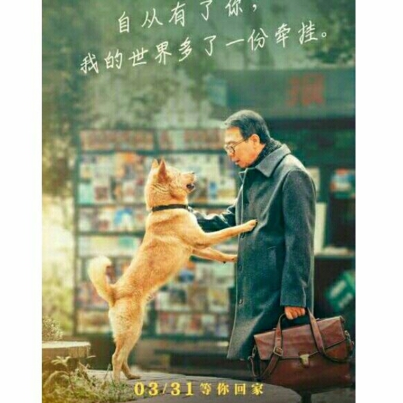 DVD HACHIKO (2023) MANDARIN