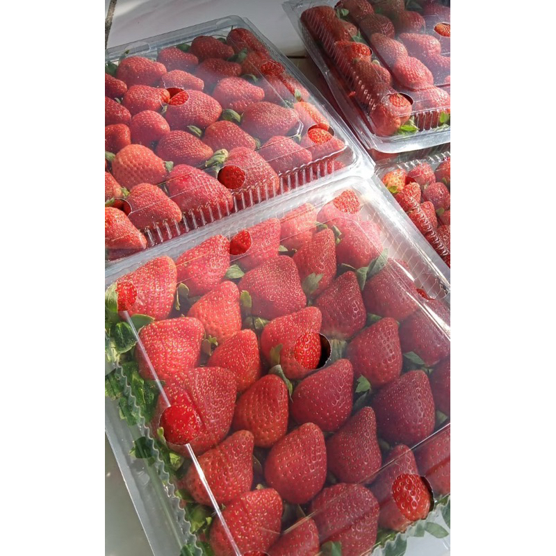 

Fresh Strawberry Jumbo 1KG