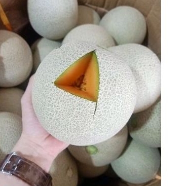 

Melon Rock Orange 1 buah utuh
