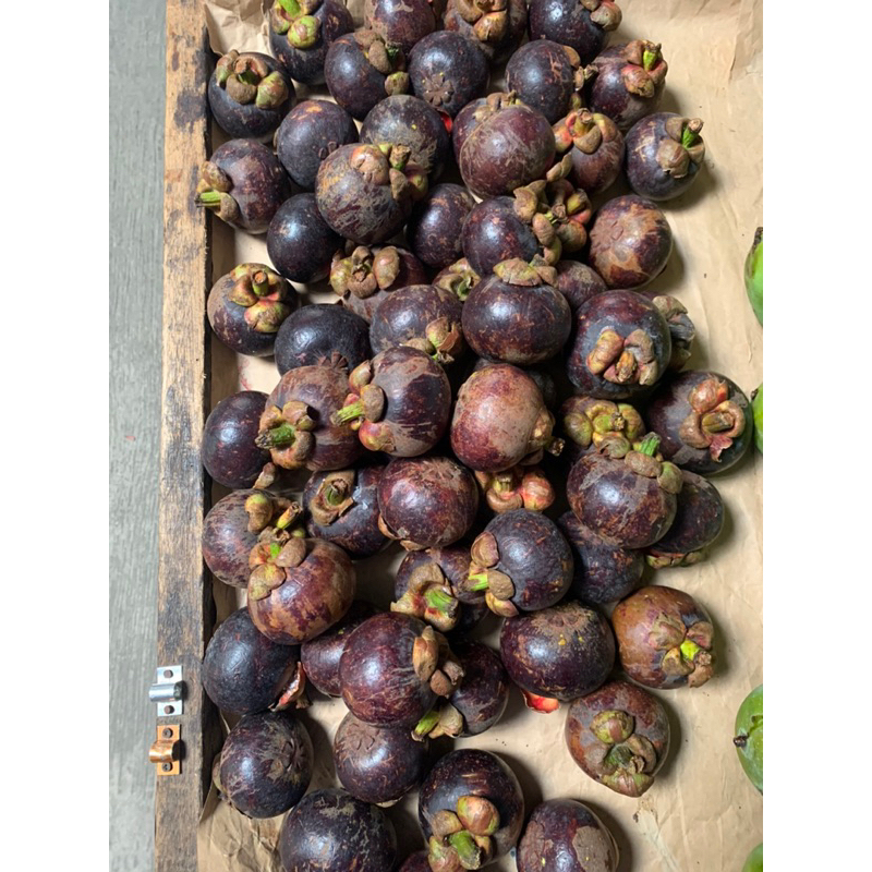 

buah per 1 kg