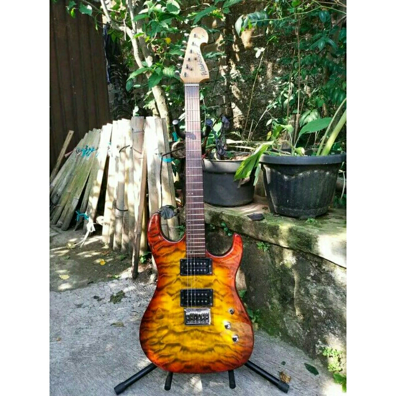 guitar washburn