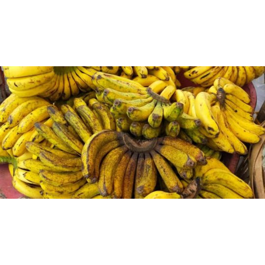 

pisang barangan 1 sisir