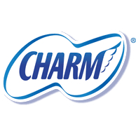 CHARM BODY FIT EXTRA MAXI WING / EXTRA MAXI / WING 23CM ISI 10,20,30 / NON WING 23CM ISI 20,30