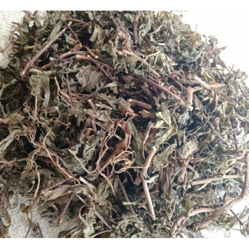 

Kumis kucing kering 1kg | herbal daun kumis kucing