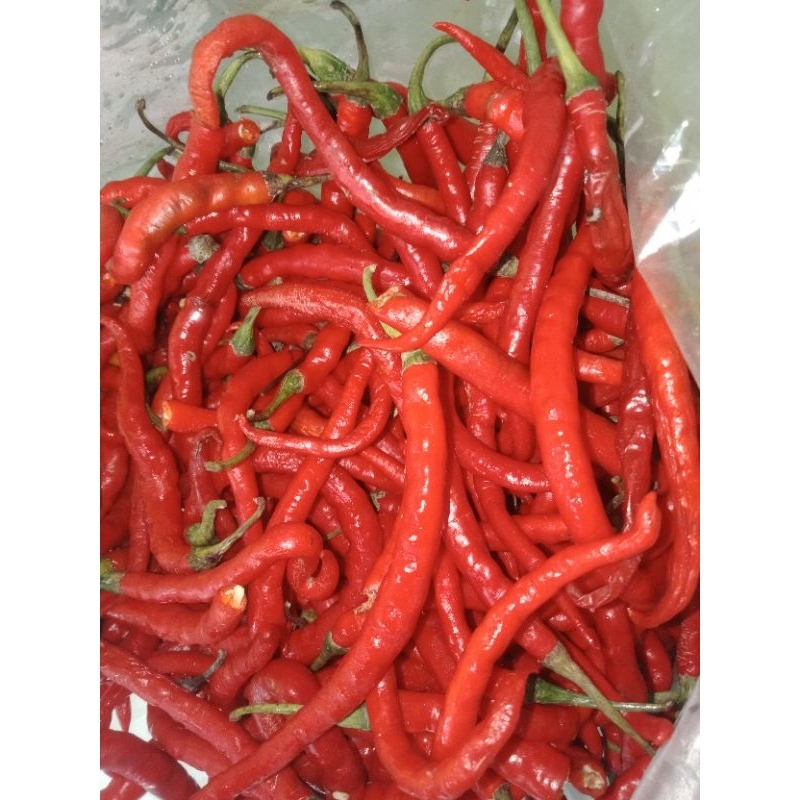

Cabai keriting 1 kg