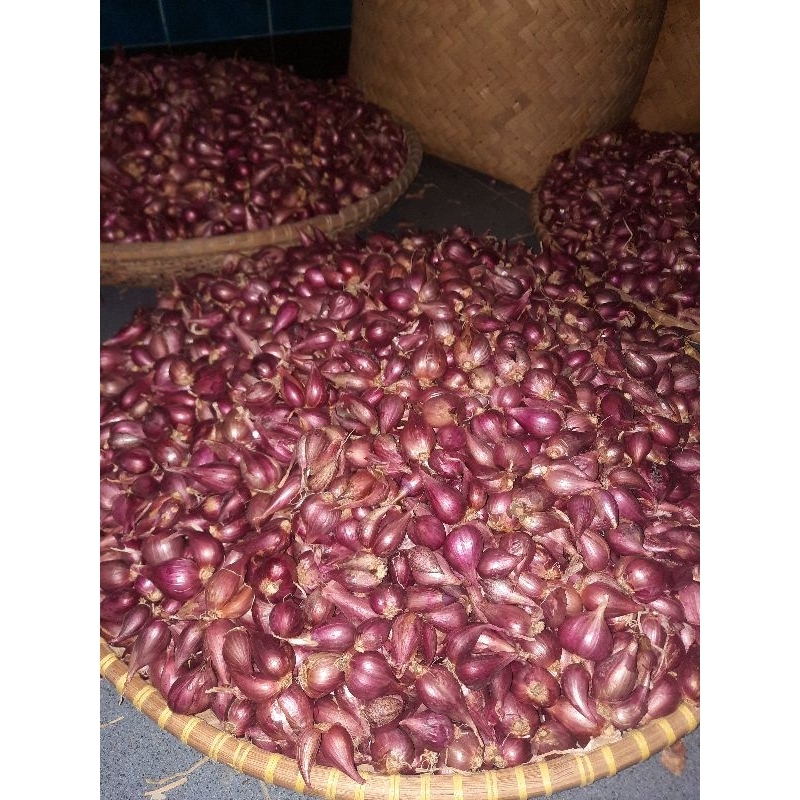 

Bawang merah Brebes super 1kg