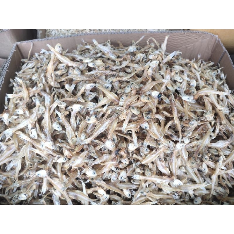 

Ikan Teri Tawar