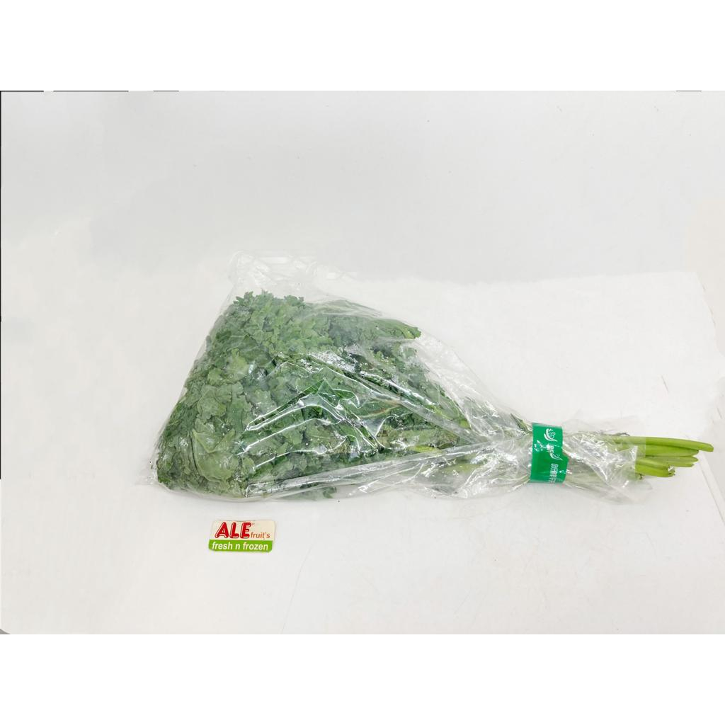 

Sayur kale fresh, sayur kale lokal, sayur kale hijau