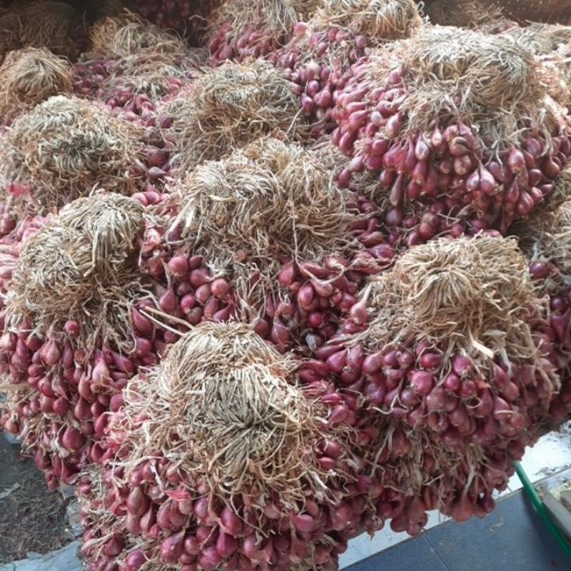 

Bawang merah Brebes super 1/2 kg