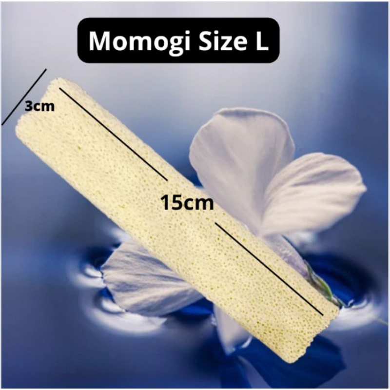 Media Filter Bio Block BAKTERI HOUSE MOMOGI SIZE L