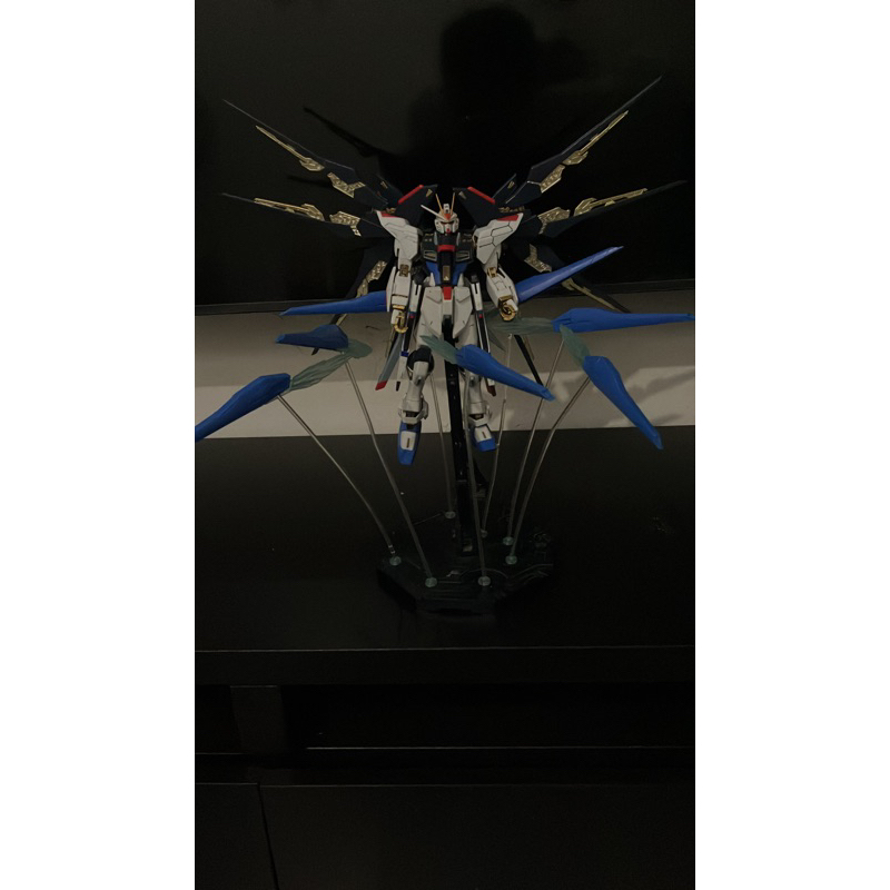 Junk MG strike freedom fbm